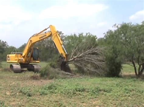 clearing mesquite with skid steer|mesquite grubbing equipment.